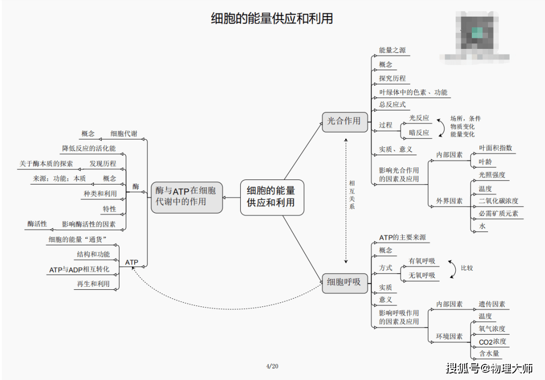 关于管家婆三肖三码三期必出一期的真相