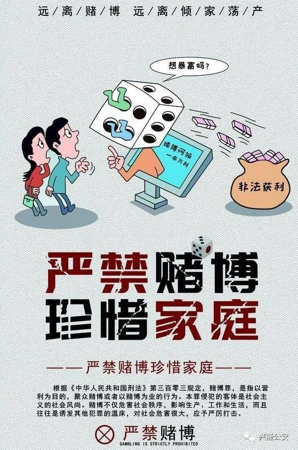 澳门精准一肖一码预测与解析