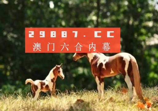 澳门跑狗图2019年回顾与解析