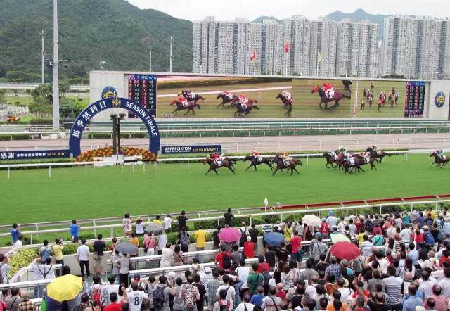 香港马会开奖结果直播，揭秘赛马盛况与实时动态