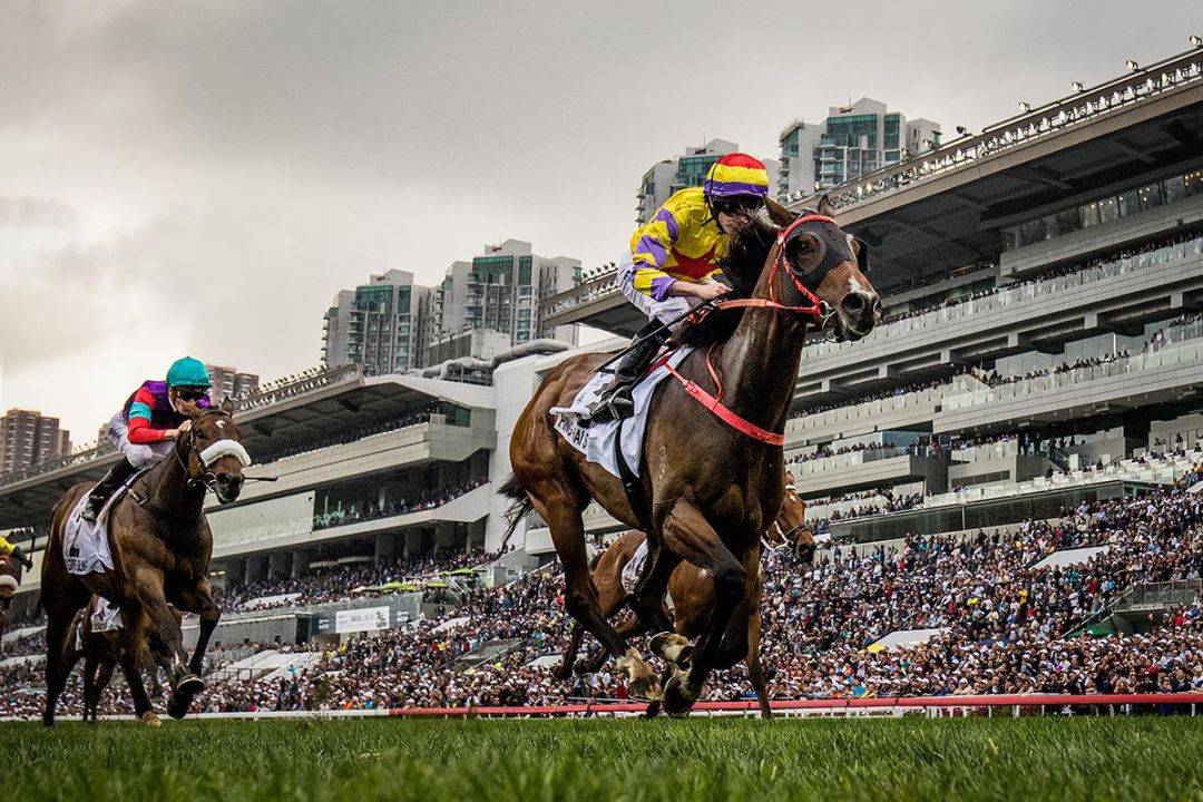 香港马会开结果直播现场的精彩瞬间