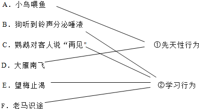 家教网网，连接家庭与教育的桥梁