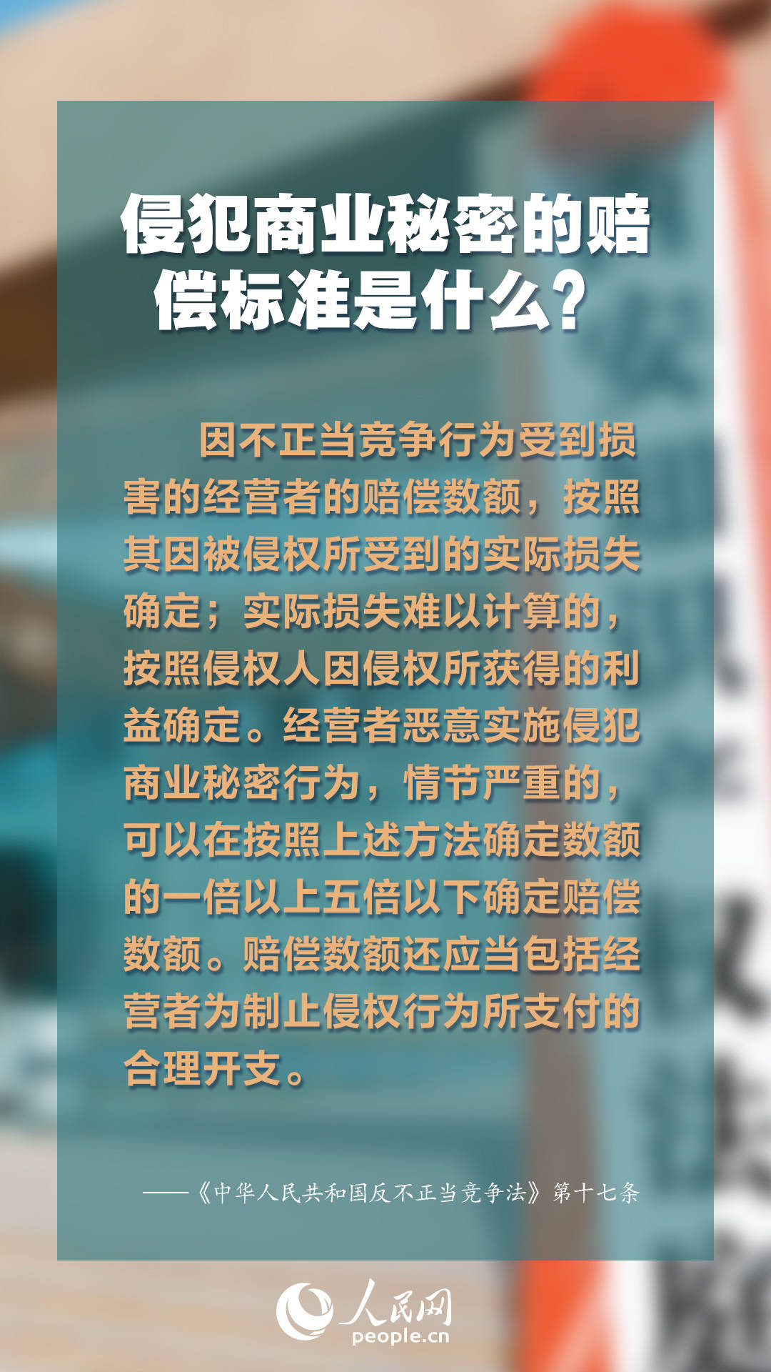 资料之家，知识的宝库与探索的起点