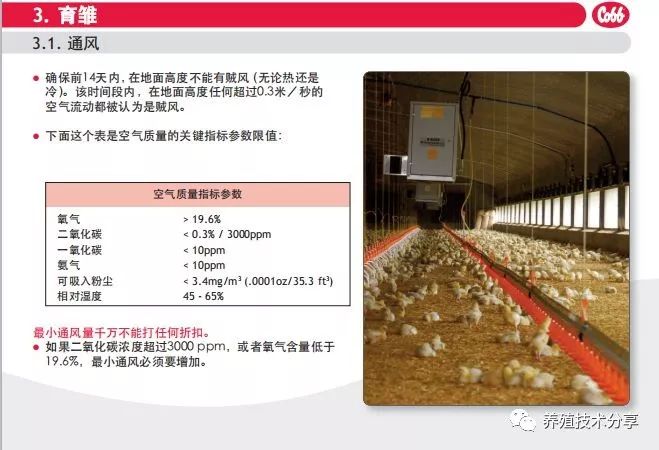 新奥门资料免费资料大全，全面解析与实用指南