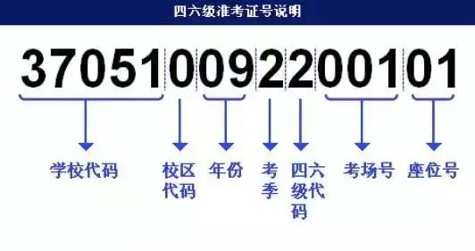 新奥天天免费资料 第34页