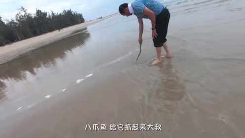 六叔赶海，探索海洋的精彩瞬间