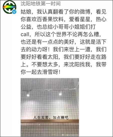 马会传真论运澳门视频，深度解析与观察