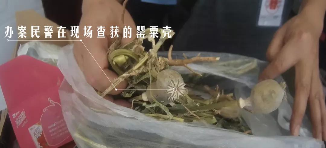 果总与重庆民警的互动视频事件揭秘