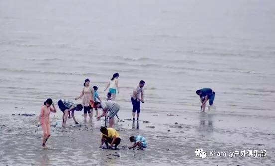 六叔赶海视频大全集，探索海洋的乐趣与收获