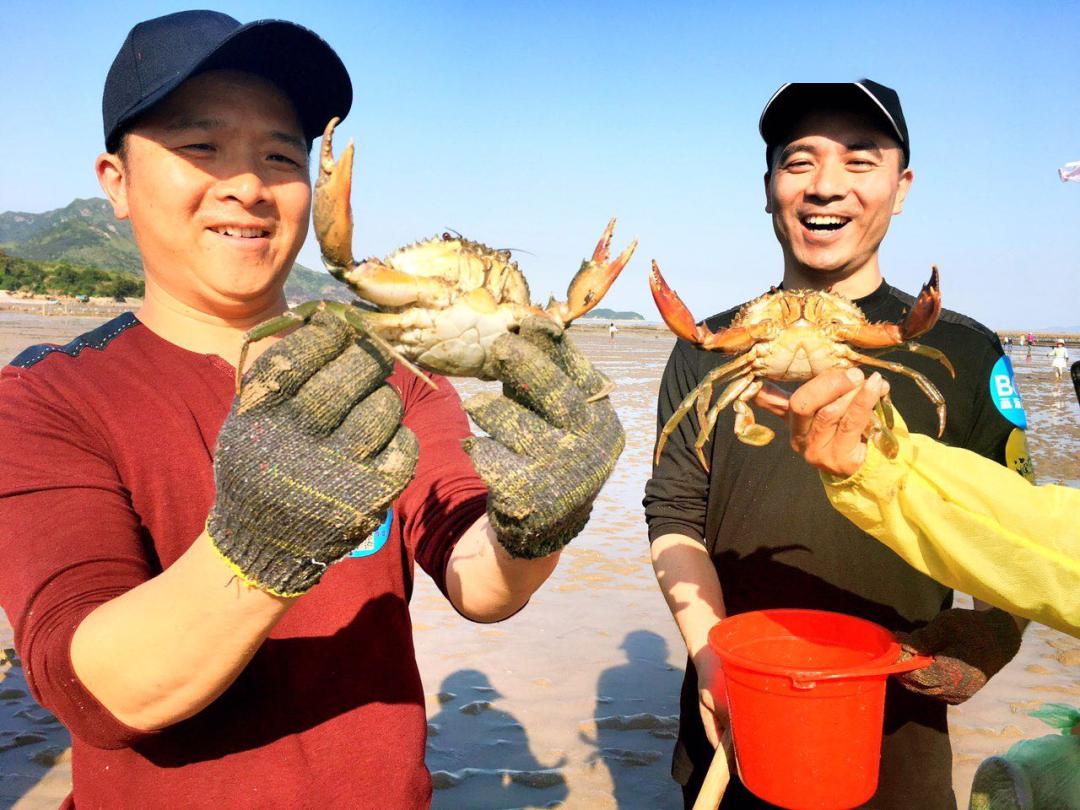 六叔赶海之旅，海鲜狂欢的精彩瞬间