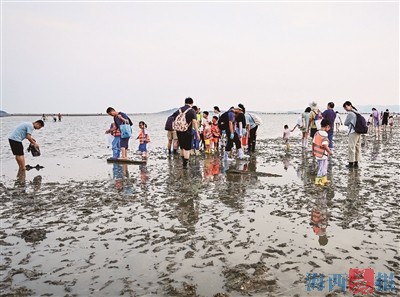 六叔赶海之旅，探索海洋的秘密