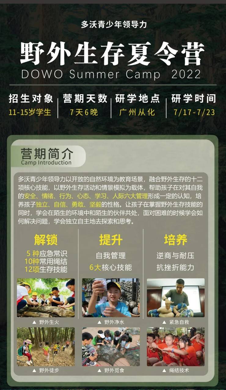 新一码一肖100准正版资料与野外生存视频，探索生存技能与信息真实性