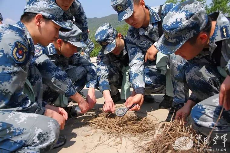 新一码一肖100准正版资料与野外生存技能，视频教程的完整解读