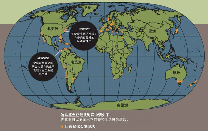 2025香港全年免费资料，远古巨人的秘密