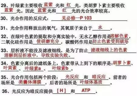 黄大仙精准大全正版资料，香港最新版解析与运用