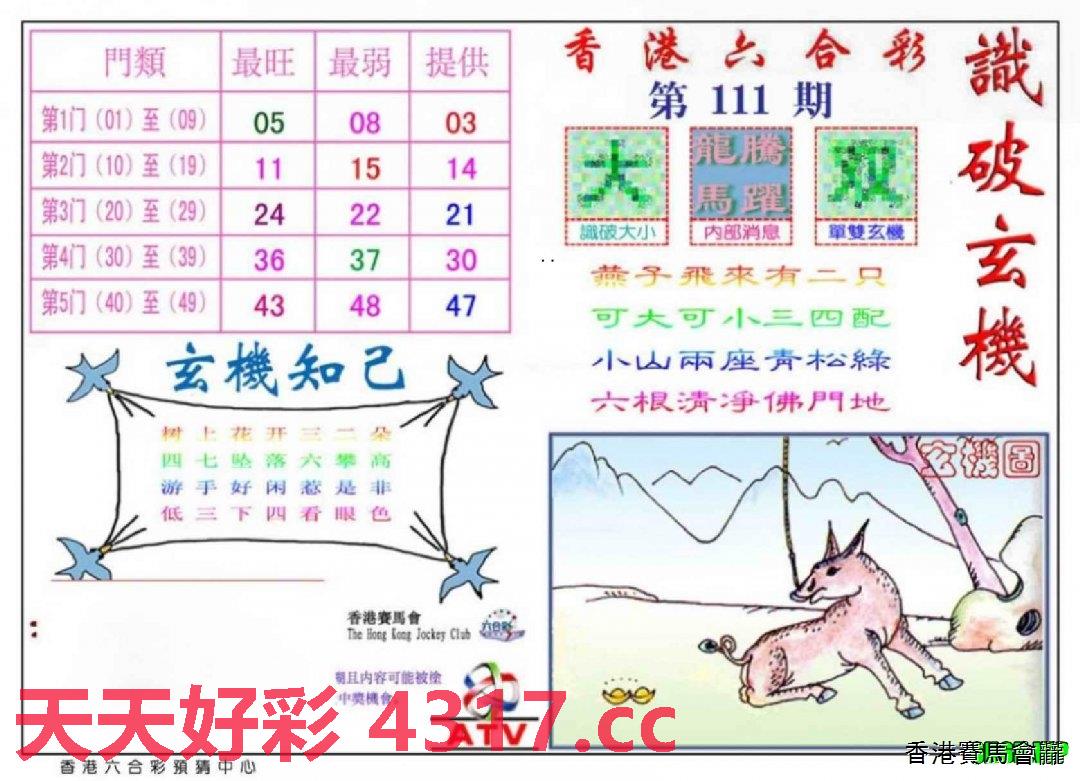 揭秘二四六天天玄机图资料