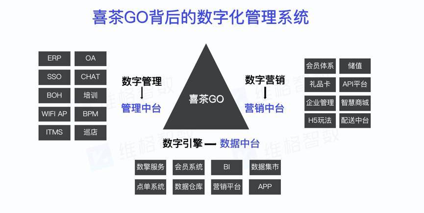 精准三肖预测与脚踏千江水的奥秘