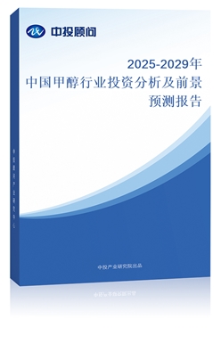 2025年新澳门正版免费资本车原料的探索与解析