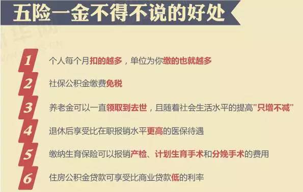 探索42982金牛网论坛一句玄机