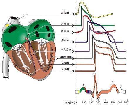 二四六天天好彩944cc图文详解解析详解