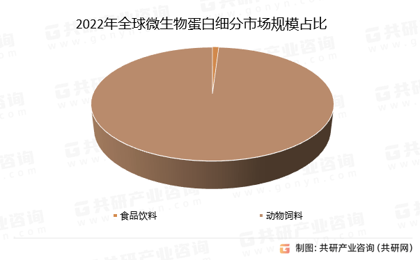 王中王资料大全，深度解析与枓大全246