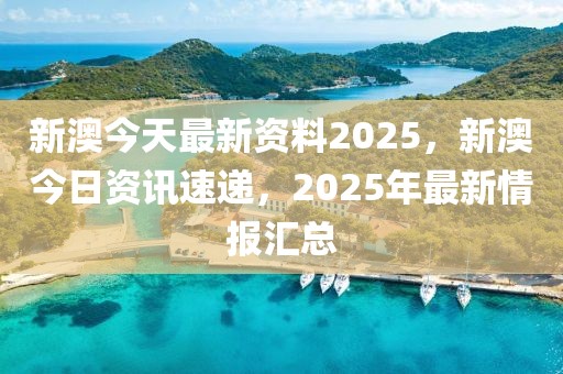 新澳2025最新资料解读与展望