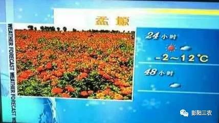 彭阳天气预报