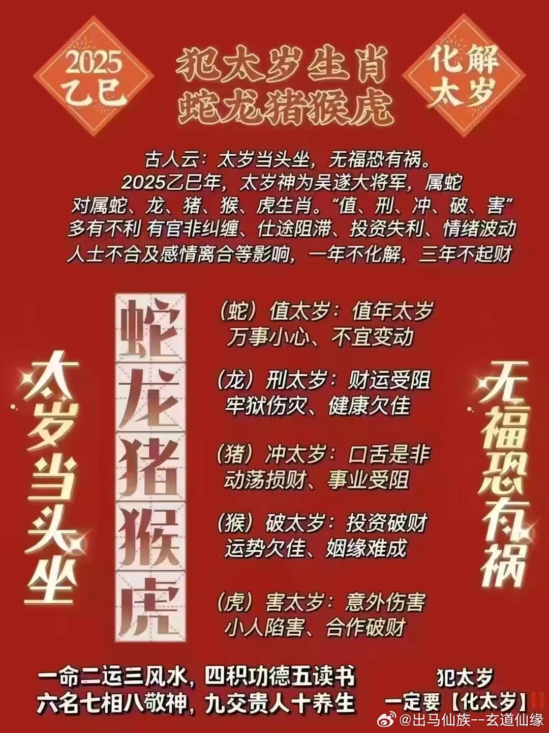 今晚出马结果是什么