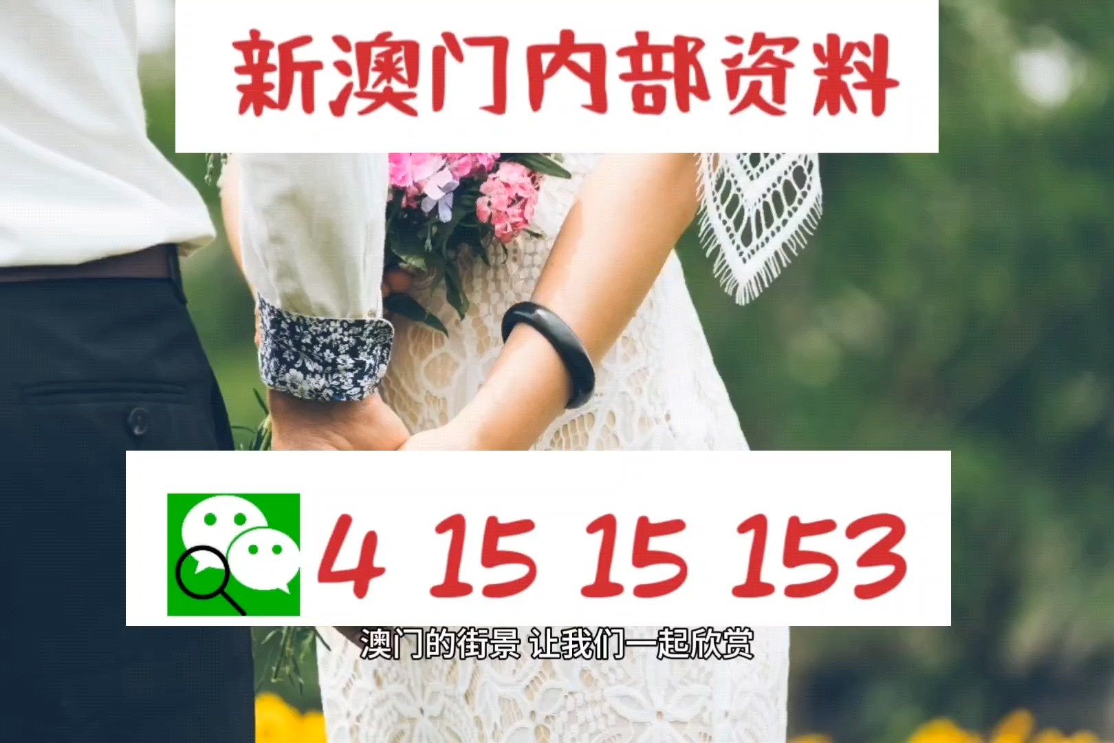 澳门未来之谜，2048年精准正版资料76期揭秘之旅！文章标题）2024澳门精准正版资料76期下载美人鱼