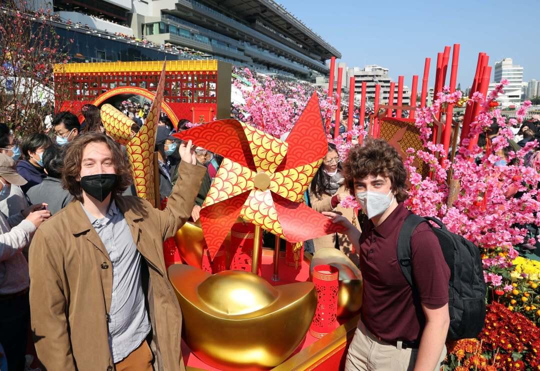 香港马会资料大全，一览赛事、历史与数据，探索精彩赛事世界！从入门到精通的全方位指南