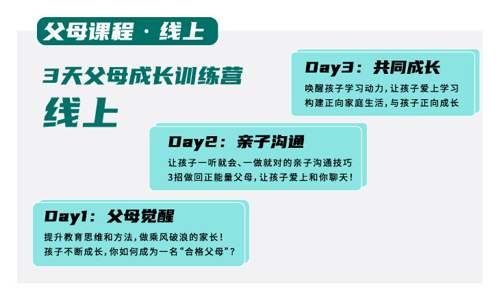 534CC资料大全，探索与解读的旅程文章标题待定（以实际需求为准）5334cc资料大全一