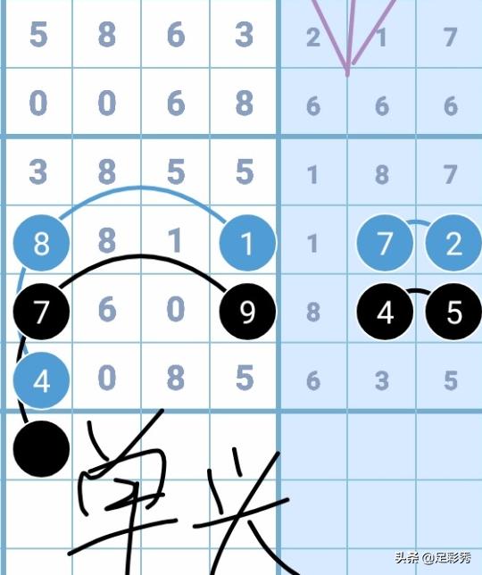 七星彩高手论坛—探索数字的奥秘与智慧特区七星彩高手论坛