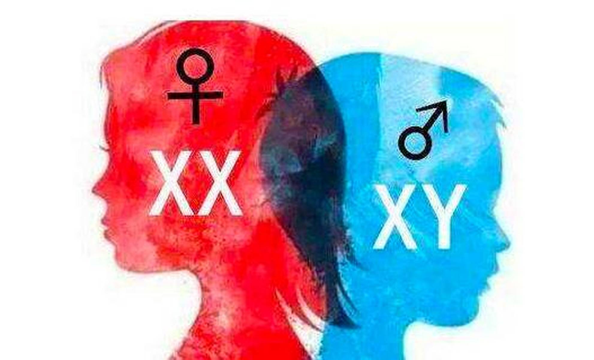 探索双性人生—理解与尊重的图像探讨双性人功能及结构图片