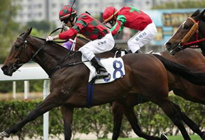 香港马会资料详解香港赛马会资料信息唯一官方网站