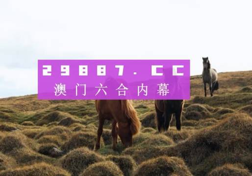 澳门开奖新老记录，20年回顾与展望新老澳门开奖结果2023开奖记录查询