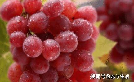 比思论坛最新地址及使用指南比思论坛 8月3日