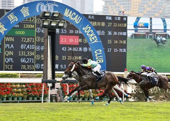 香港马会开奖结果直播—实时追踪，尽享赛马的激情与魅力