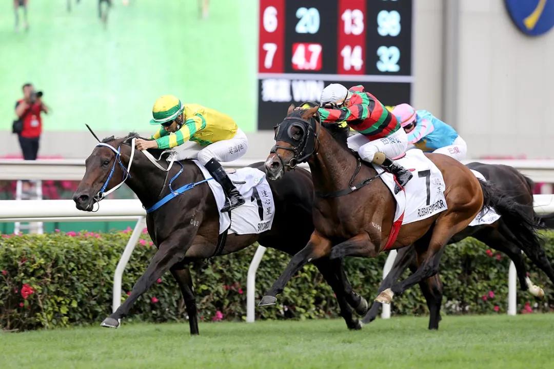 香港马会2019年开奖结果历史记录