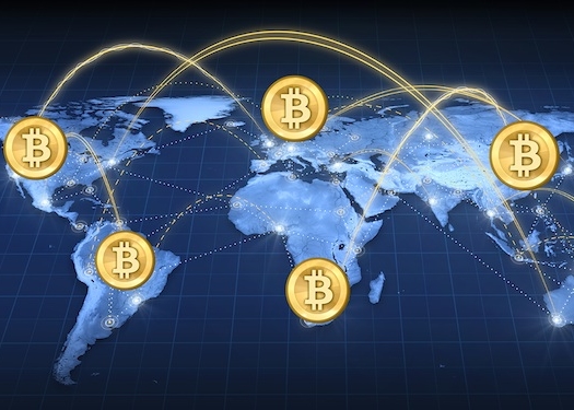 184.com—数字背后的网络世界