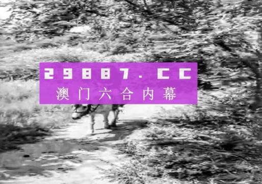 澳门六资料6码爆的奥秘与解析澳门六码经典