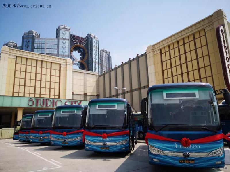 澳门六开奖结果走势图分析与未来30期预测